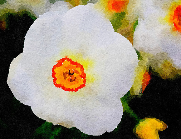 Waterlogue - Copy (14)