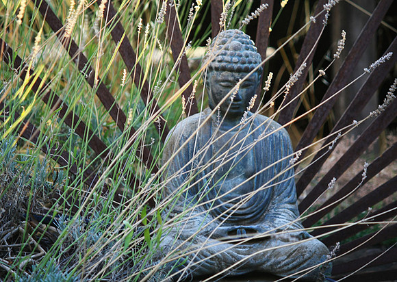 Buddha in Grass