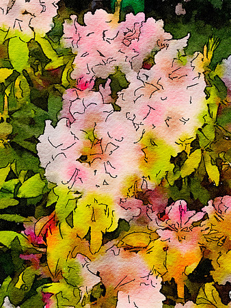 IMG_2626