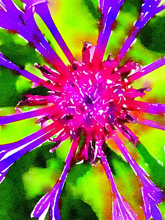 Waterlogue - Copy (5)