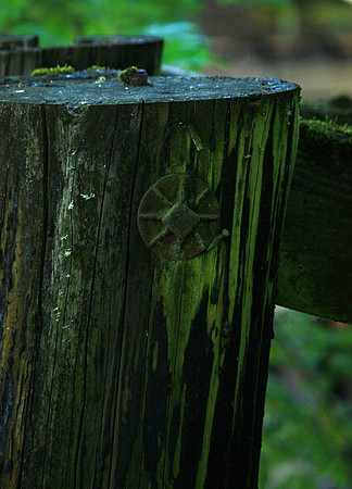 Pretty Bolt Cover