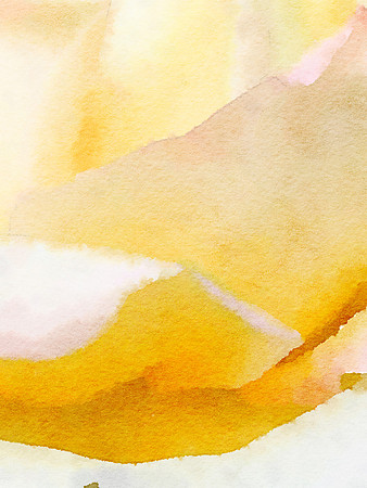 Lemon Chiffon I