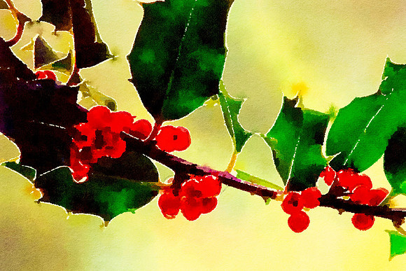 Merry Berry