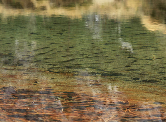 Patterns and Reflection