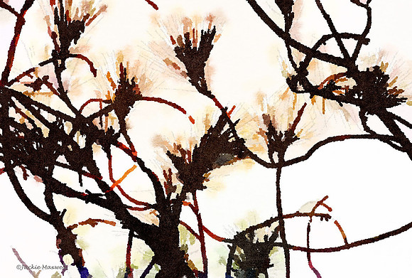 Pine Art (1)