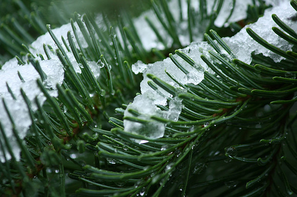 Through the Ice