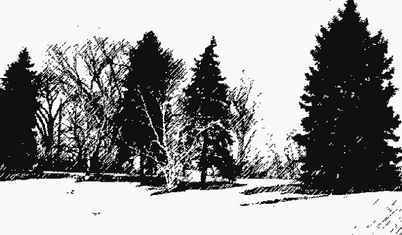 lake of the isles graphic