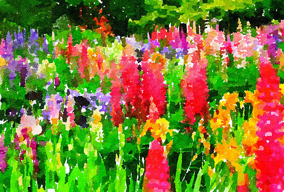 Color Harmony
