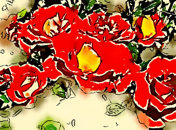 Red_Yellow_wc