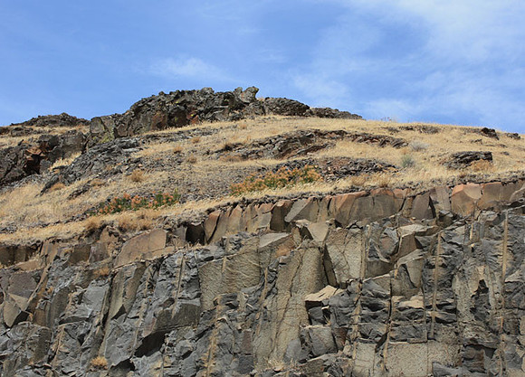 Rock Garden