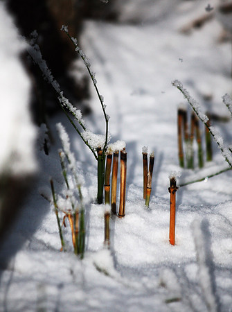 Matchsticks