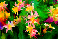 Columbine