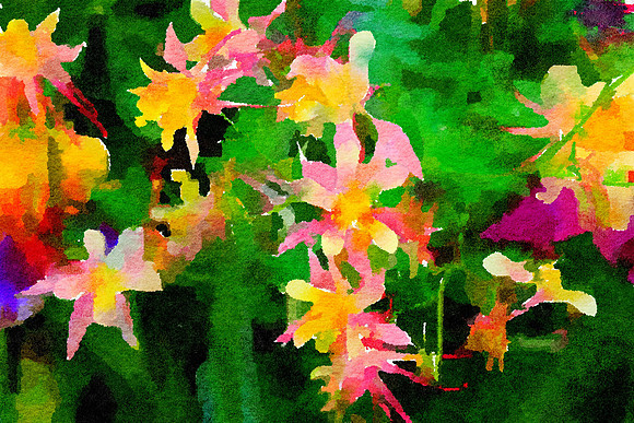 Columbine