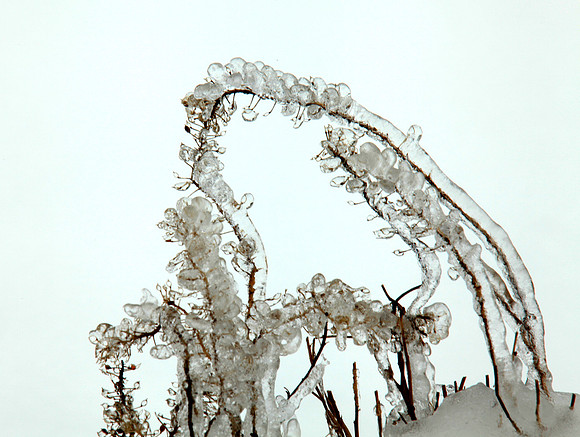 Icy Beads